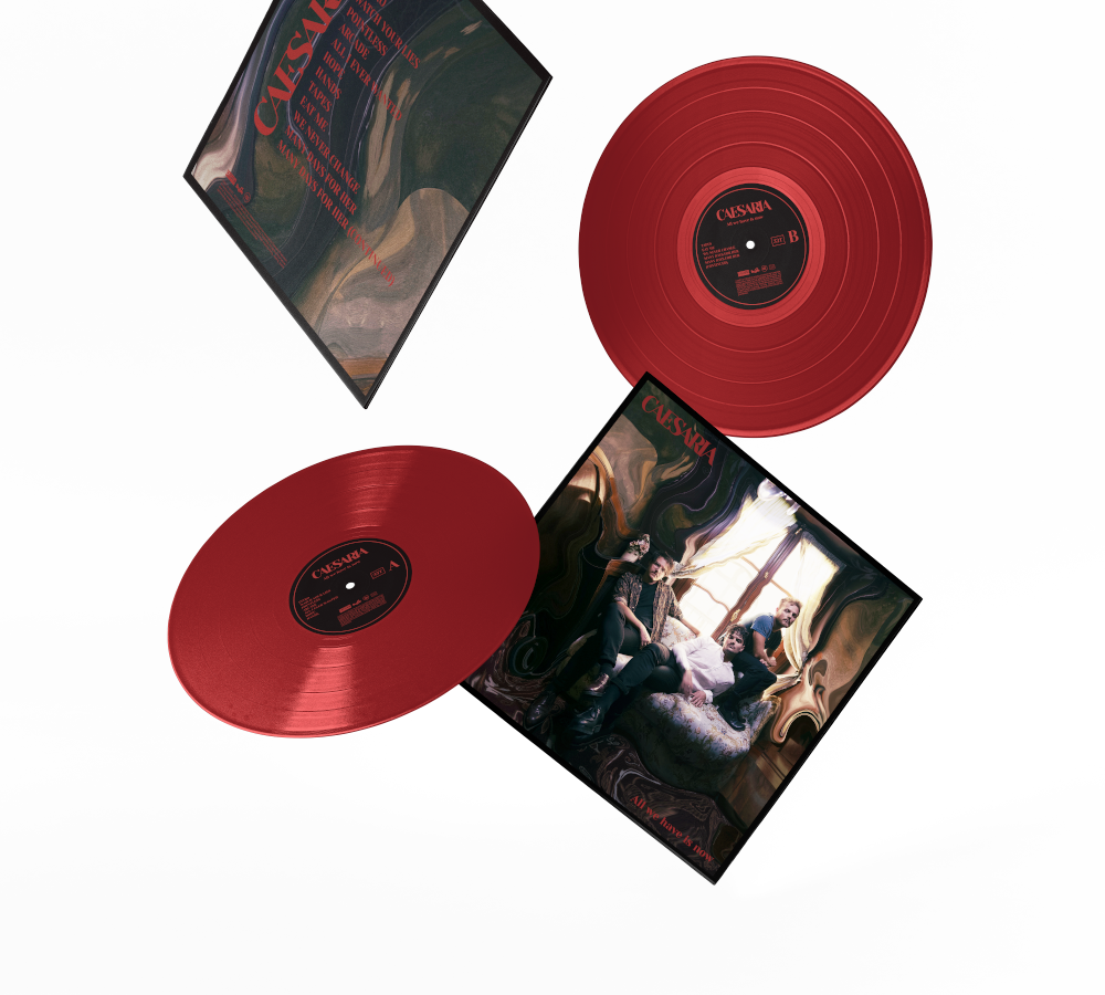 Vinyl - All We Have Is Now